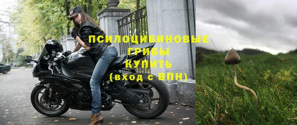 кокс Аша