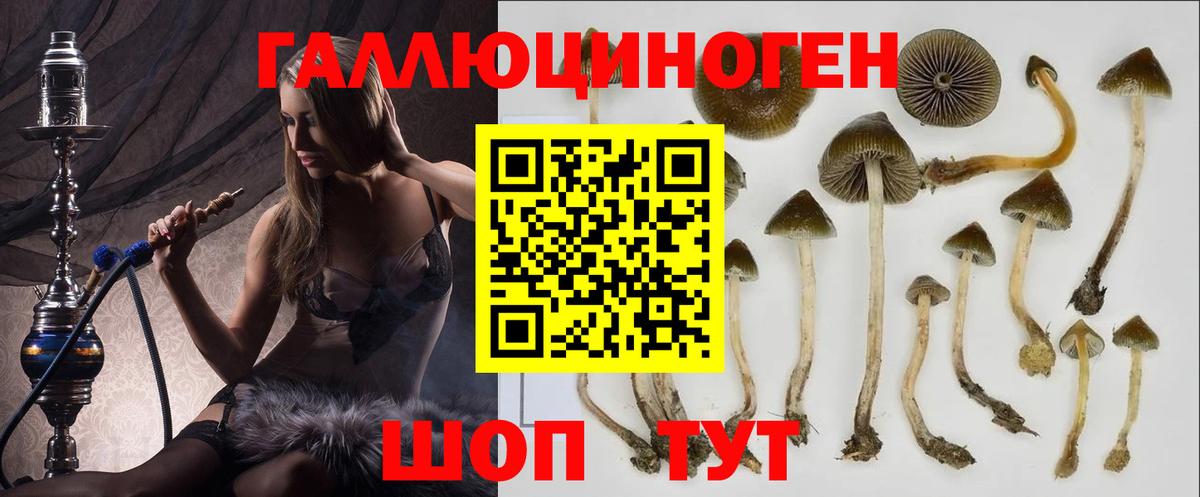 Фурманов  Галлюциногенные грибы GOLDEN TEACHER  Вход с VPN 
