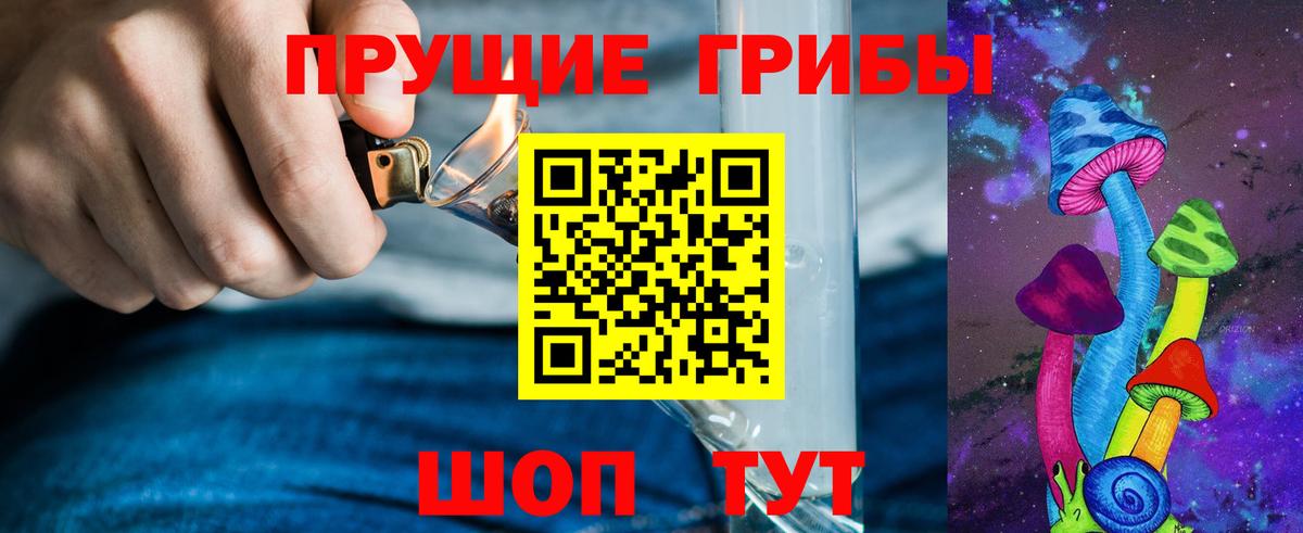 Псилоцибиновые грибы Psilocybe Фурманов