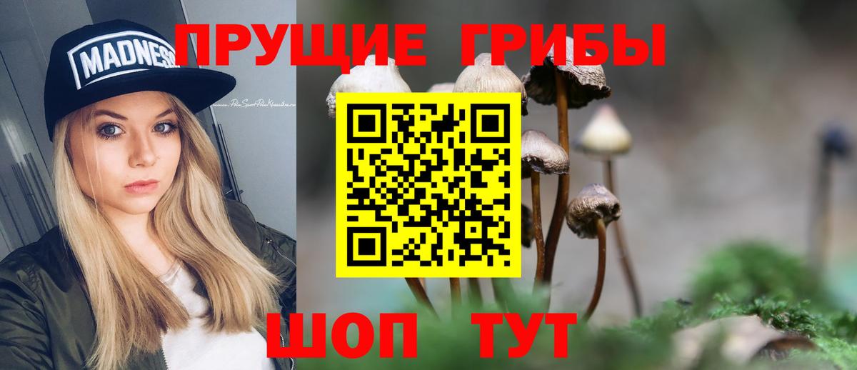 Псилоцибиновые грибы GOLDEN TEACHER  купить  сайты  Галлюциногенные грибы мухоморы  Фурманов 